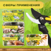 Изображение загружено обработкой выгрузки с сайта