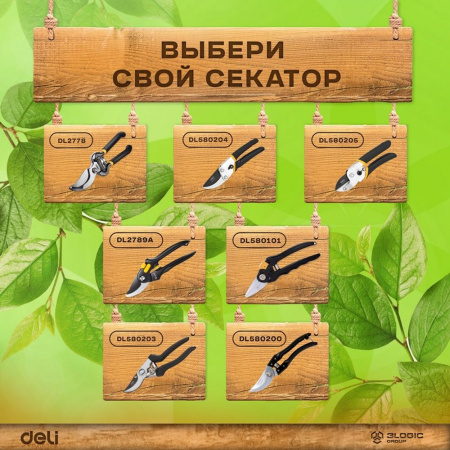 Изображение загружено обработкой выгрузки с сайта